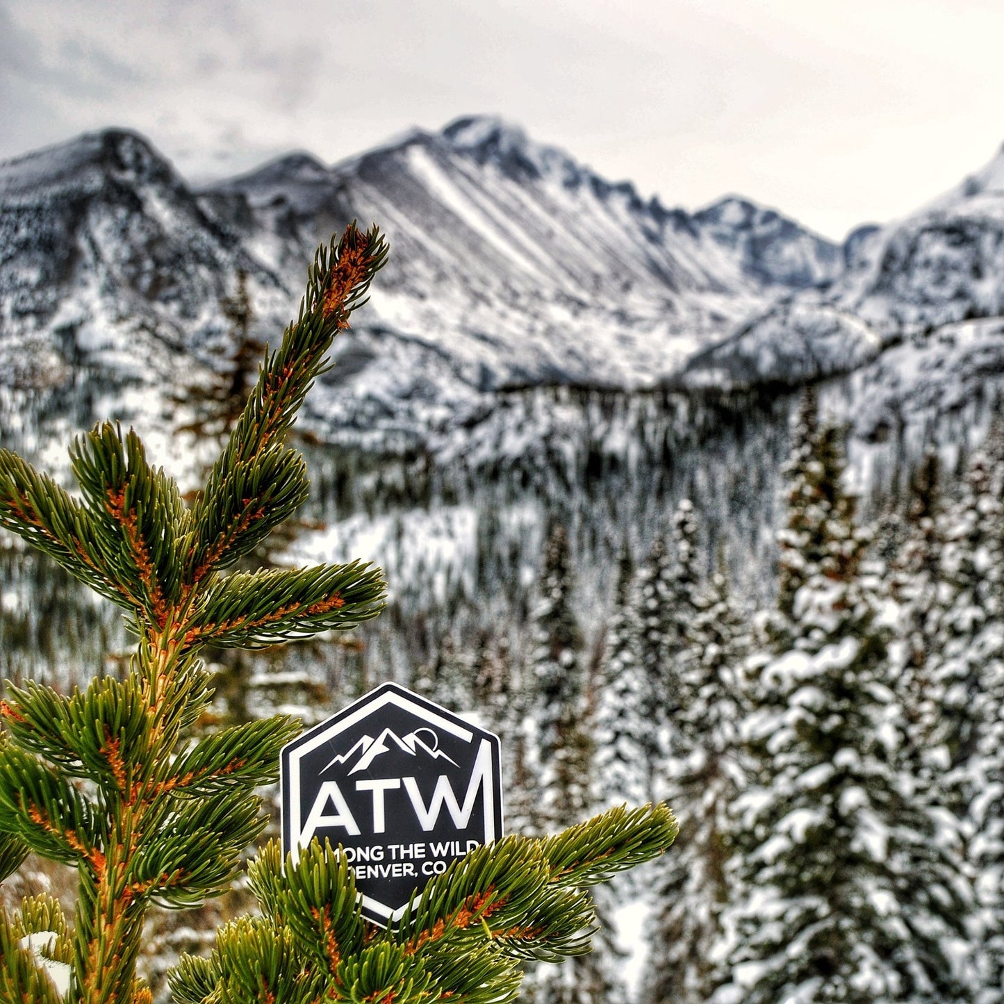 ATW Sticker - 3 Pack