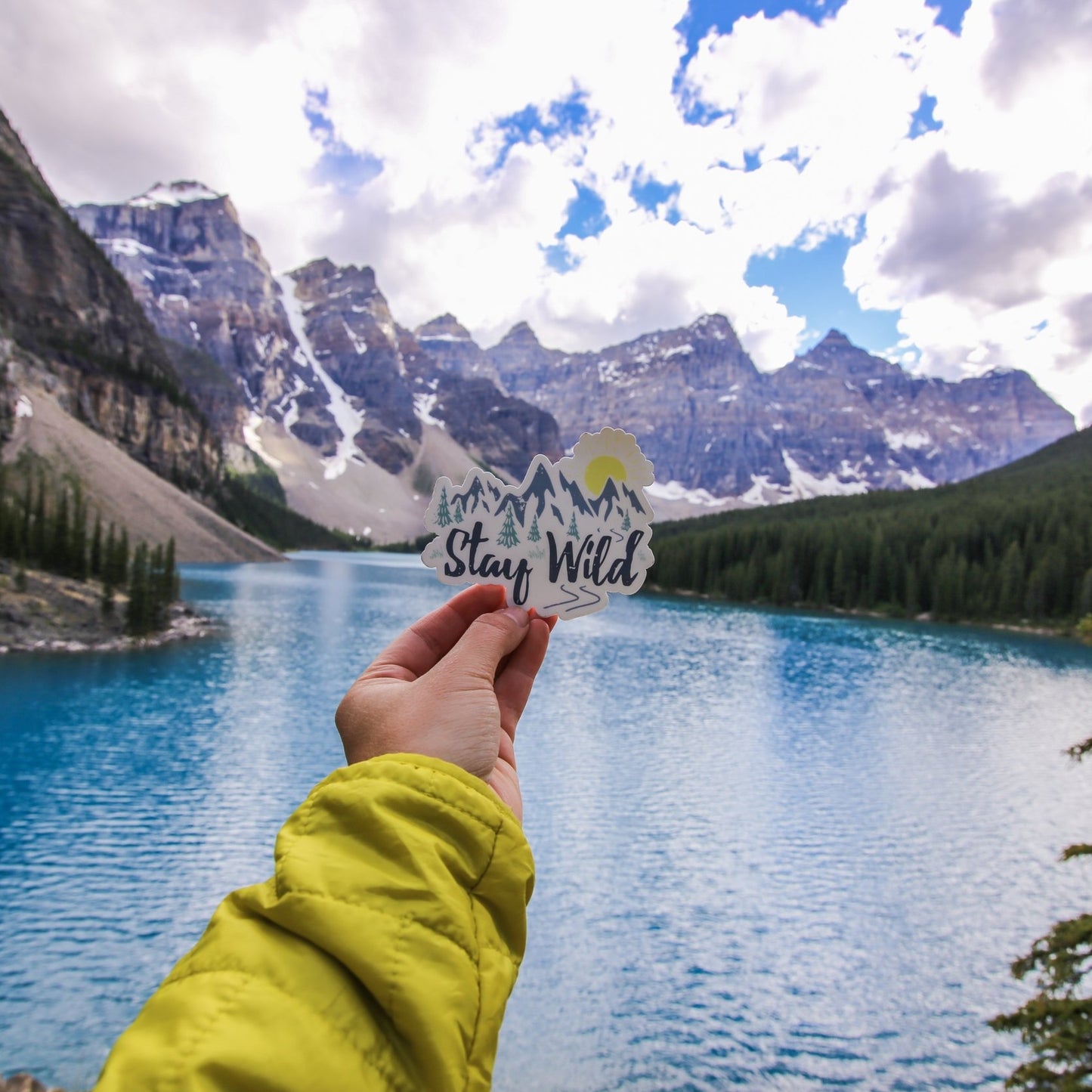 Stay Wild Sticker - 3 Pack