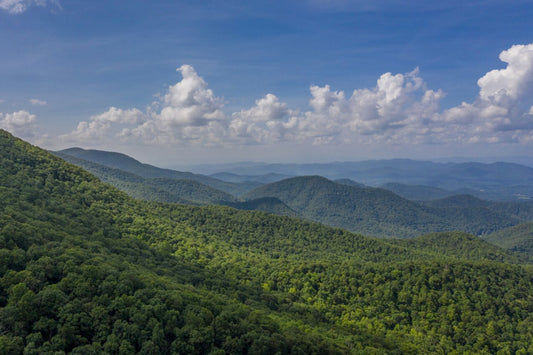 Our 8 Favorite Hikes in the Southeast