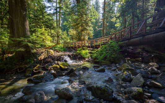 16 Best Hikes in the Pacific Northwest