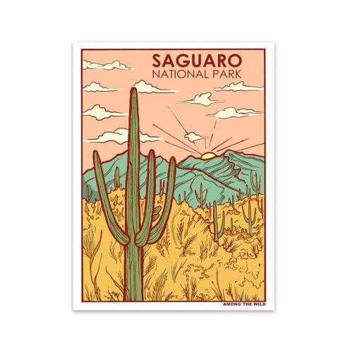 Saguaro NP Sticker